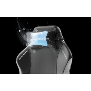 DXRacer Prince 2025 Gaming Chair - Black/White