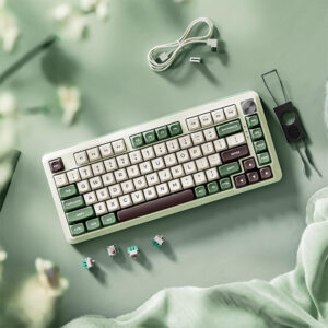Redragon Cyrus Pro Wireless Mechanical Gaming Keyboard - White/Green/Black